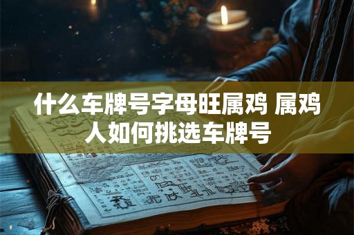 什么车牌号字母旺属鸡 属鸡人如何挑选车牌号