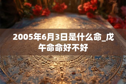2005年6月3日是什么命_戊午命命好不好