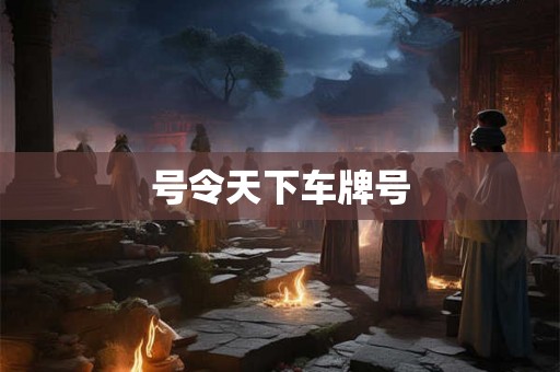 号令天下车牌号