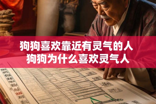 狗狗喜欢靠近有灵气的人 狗狗为什么喜欢灵气人