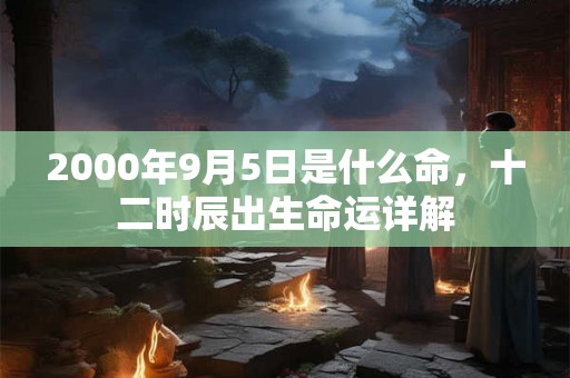 2000年9月5日是什么命，十二时辰出生命运详解