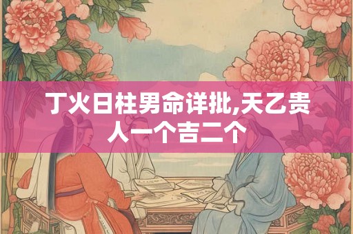 丁火日柱男命详批,天乙贵人一个吉二个 丁火日柱男命详批,天乙贵人一个吉二个