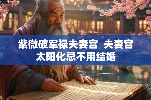 紫微破军禄夫妻宫  夫妻宫太阳化忌不用结婚