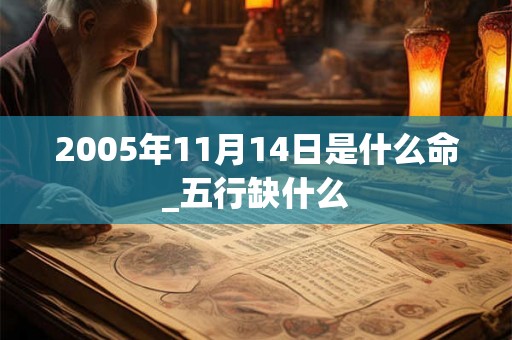 2005年11月14日是什么命_五行缺什么