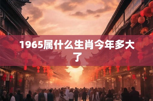 1965属什么生肖今年多大了