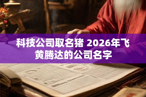 科技公司取名猪 2026年飞黄腾达的公司名字 科技公司取名猪 2026年飞黄腾达的公司名字