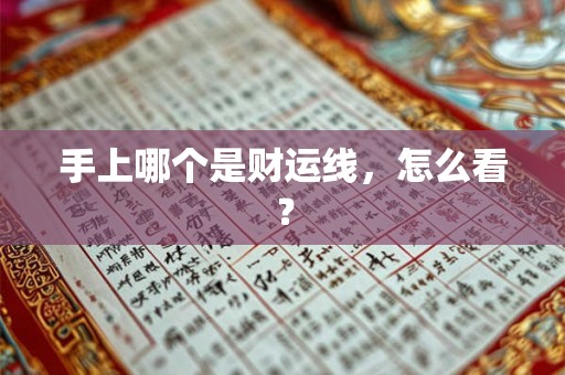 手上哪个是财运线，怎么看？