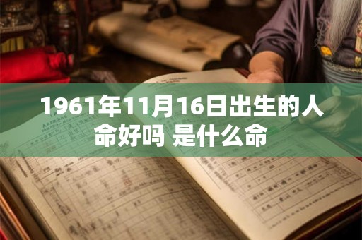 1961年11月16日出生的人命好吗 是什么命 1961年11月16日出生的人命好吗 是什么命