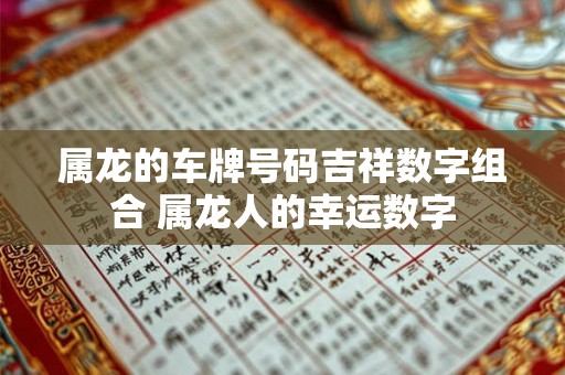 属龙的车牌号码吉祥数字组合 属龙人的幸运数字