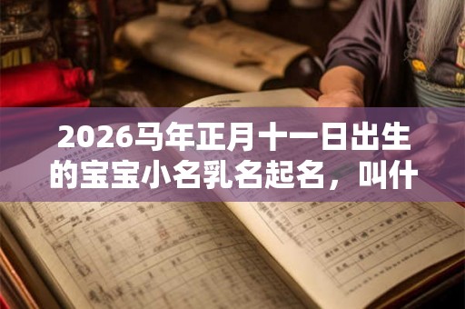 2026马年正月十一日出生的宝宝小名乳名起名，叫什么好？
