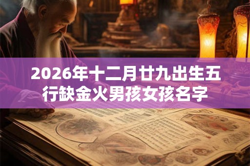 2026年十二月廿九出生五行缺金火男孩女孩名字