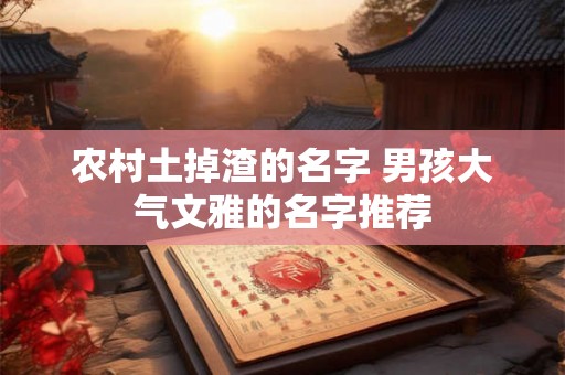 农村土掉渣的名字 男孩大气文雅的名字推荐