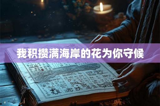 我积攒满海岸的花为你守候