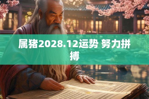 属猪2028.12运势 努力拼搏
