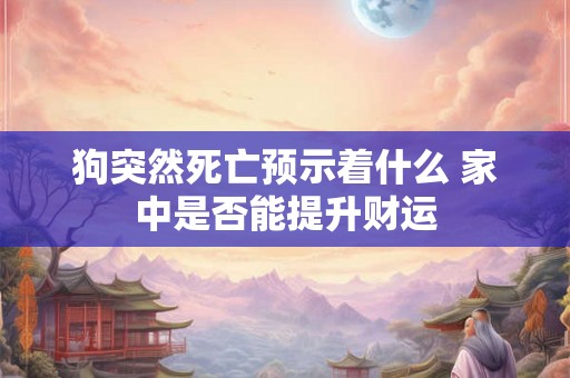 狗突然死亡预示着什么 家中是否能提升财运