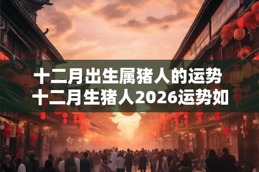 十二月出生属猪人的运势 十二月生猪人2026运势如何