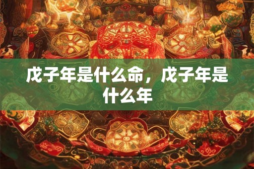 戊子年是什么命，戊子年是什么年