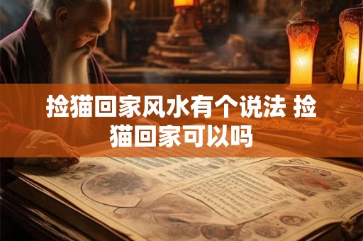 捡猫回家风水有个说法 捡猫回家可以吗