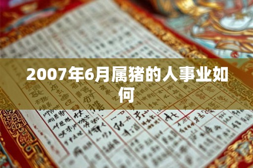 2007年6月属猪的人事业如何 2007年6月属猪的人事业如何