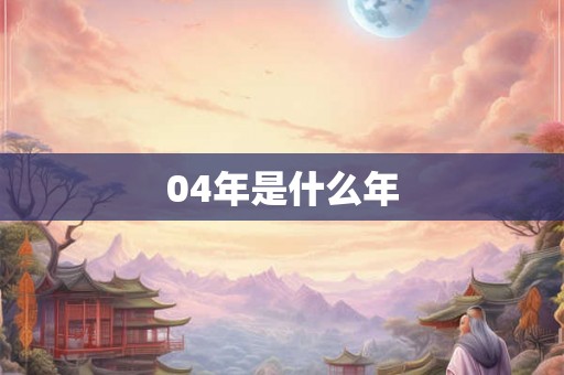 04年是什么年