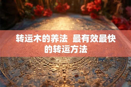 转运木的养法  最有效最快的转运方法