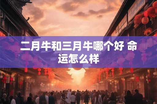二月牛和三月牛哪个好 命运怎么样