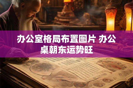 办公室格局布置图片 办公桌朝东运势旺