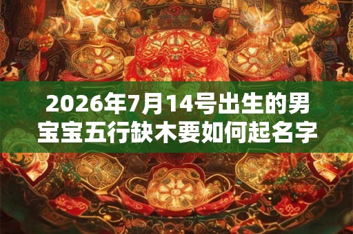 2026年7月14号出生的男宝宝五行缺木要如何起名字