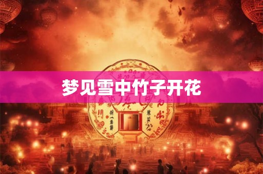 梦见雪中竹子开花