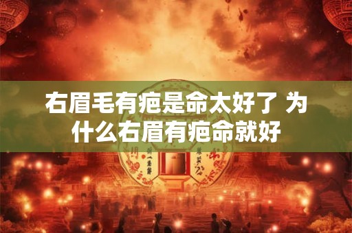右眉毛有疤是命太好了 为什么右眉有疤命就好