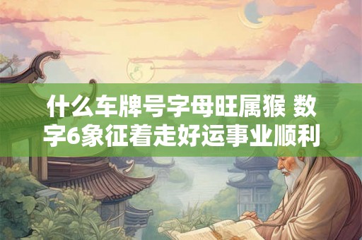 什么车牌号字母旺属猴 数字6象征着走好运事业顺利