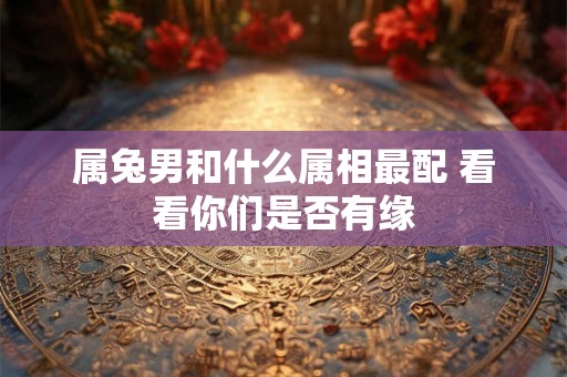 属兔男和什么属相最配 看看你们是否有缘 属兔男和什么属相最配 看看你们是否有缘