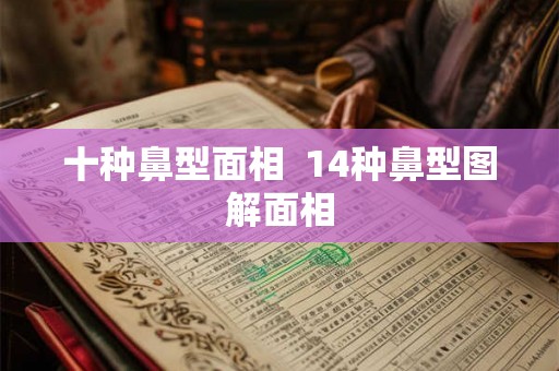 十种鼻型面相 14种鼻型图解面相 十种鼻型面相 14种鼻型图解面相