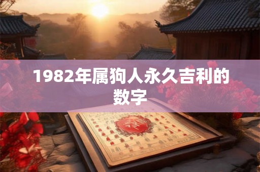 1982年属狗人永久吉利的数字
