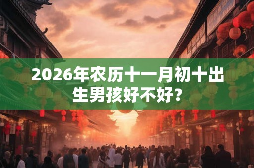 2026年农历十一月初十出生男孩好不好？