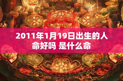 2011年1月19日出生的人命好吗 是什么命
