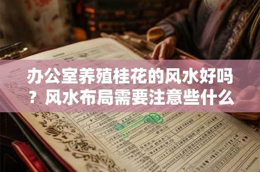 办公室养殖桂花的风水好吗？风水布局需要注意些什么？