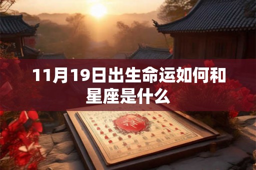 11月19日出生命运如何和星座是什么