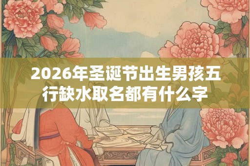 2026年圣诞节出生男孩五行缺水取名都有什么字
