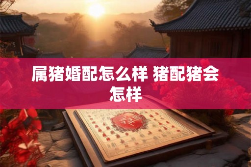 属猪婚配怎么样 猪配猪会怎样