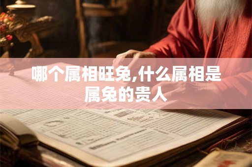哪个属相旺兔,什么属相是属兔的贵人