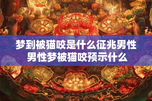 梦到被猫咬是什么征兆男性 男性梦被猫咬预示什么
