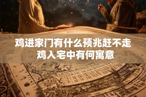 鸡进家门有什么预兆赶不走  鸡入宅中有何寓意
