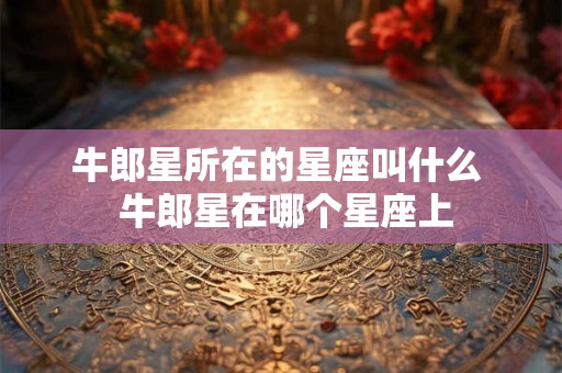 牛郎星所在的星座叫什么  牛郎星在哪个星座上
