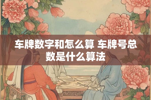 车牌数字和怎么算 车牌号总数是什么算法