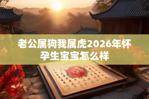 老公属狗我属虎2026年怀孕生宝宝怎么样
