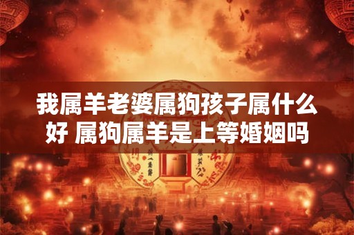 我属羊老婆属狗孩子属什么好 属狗属羊是上等婚姻吗