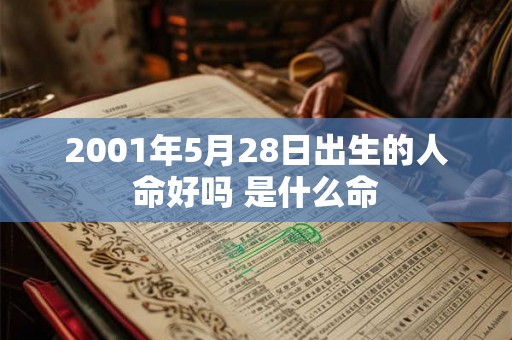 2001年5月28日出生的人命好吗 是什么命