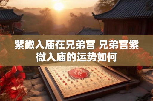 紫微入庙在兄弟宫 兄弟宫紫微入庙的运势如何