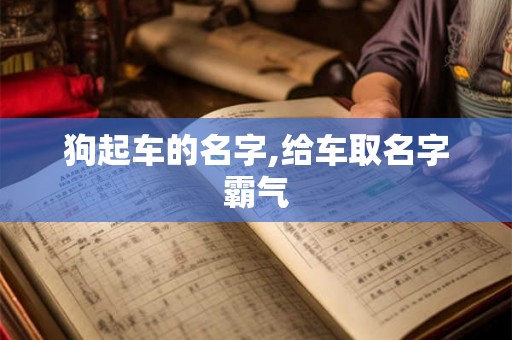 狗起车的名字,给车取名字霸气 狗起车的名字,给车取名字霸气